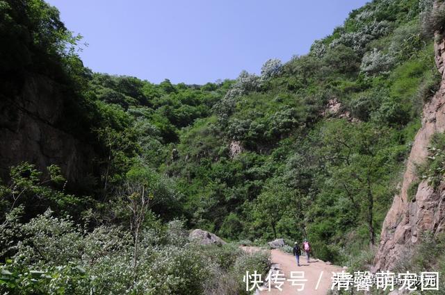 秦岭大山|好诡异！独自徒步空无一人的秦岭大山，突然出现一栋荒废的老屋