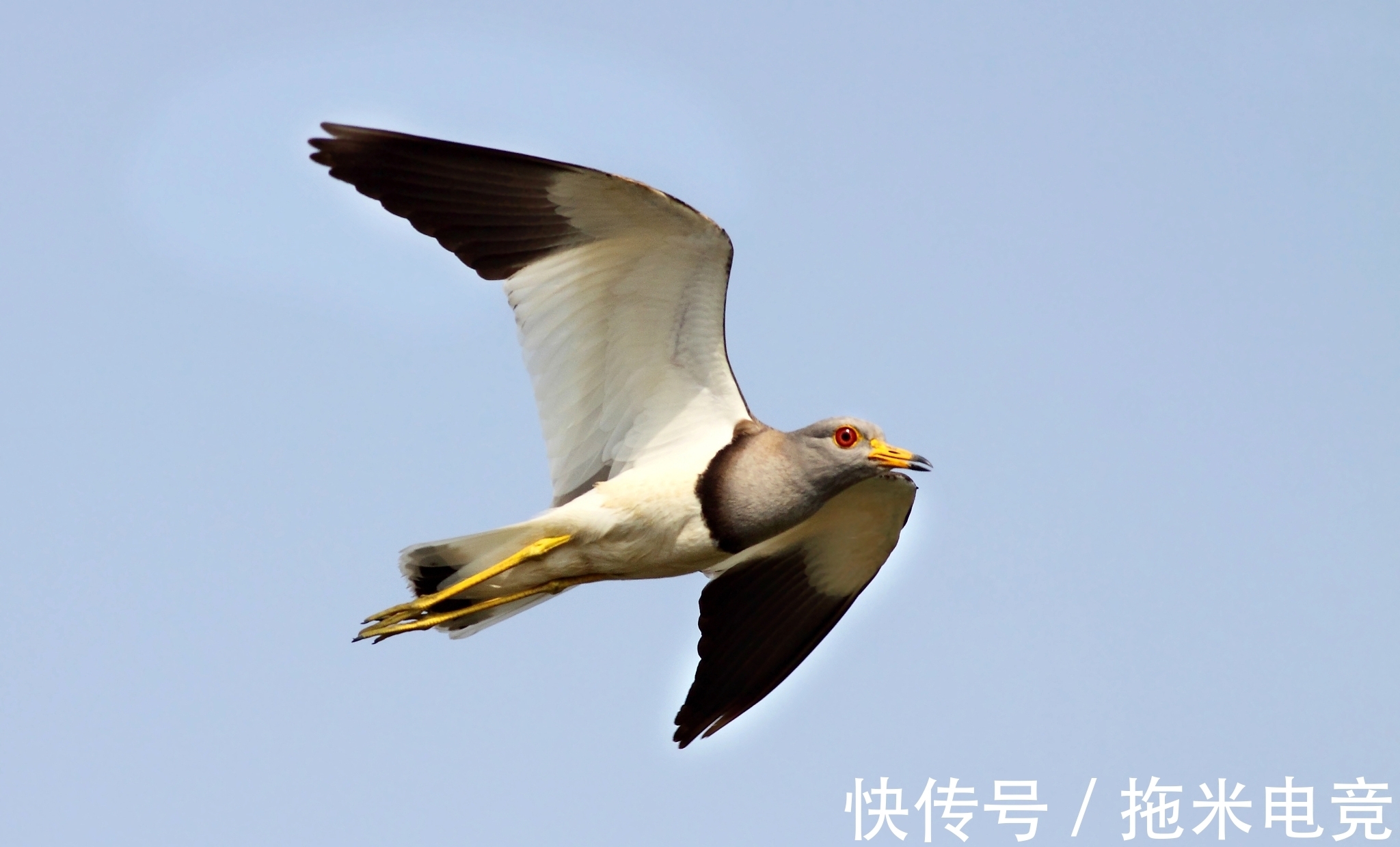 诗人&他是晚唐著名诗人!大唐最受人喜爱的诗人!十首经典写尽人世之情