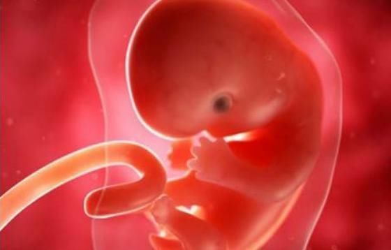 胎宝待在妈妈肚子里10个月，但只在这3周发育智力，孕妈别错过