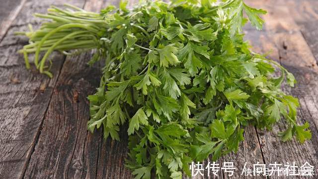 保存香菜有诀窍,菜贩子教我一招,越放越鲜,吃到来年春天没问题