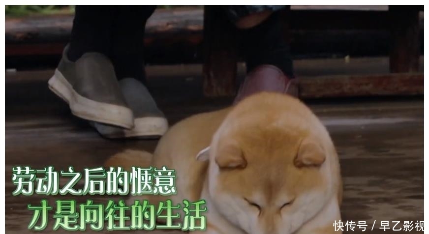 汉服 赵丽颖转型见效|租一件汉服158一天那么贵,为什么还是一衣难求?