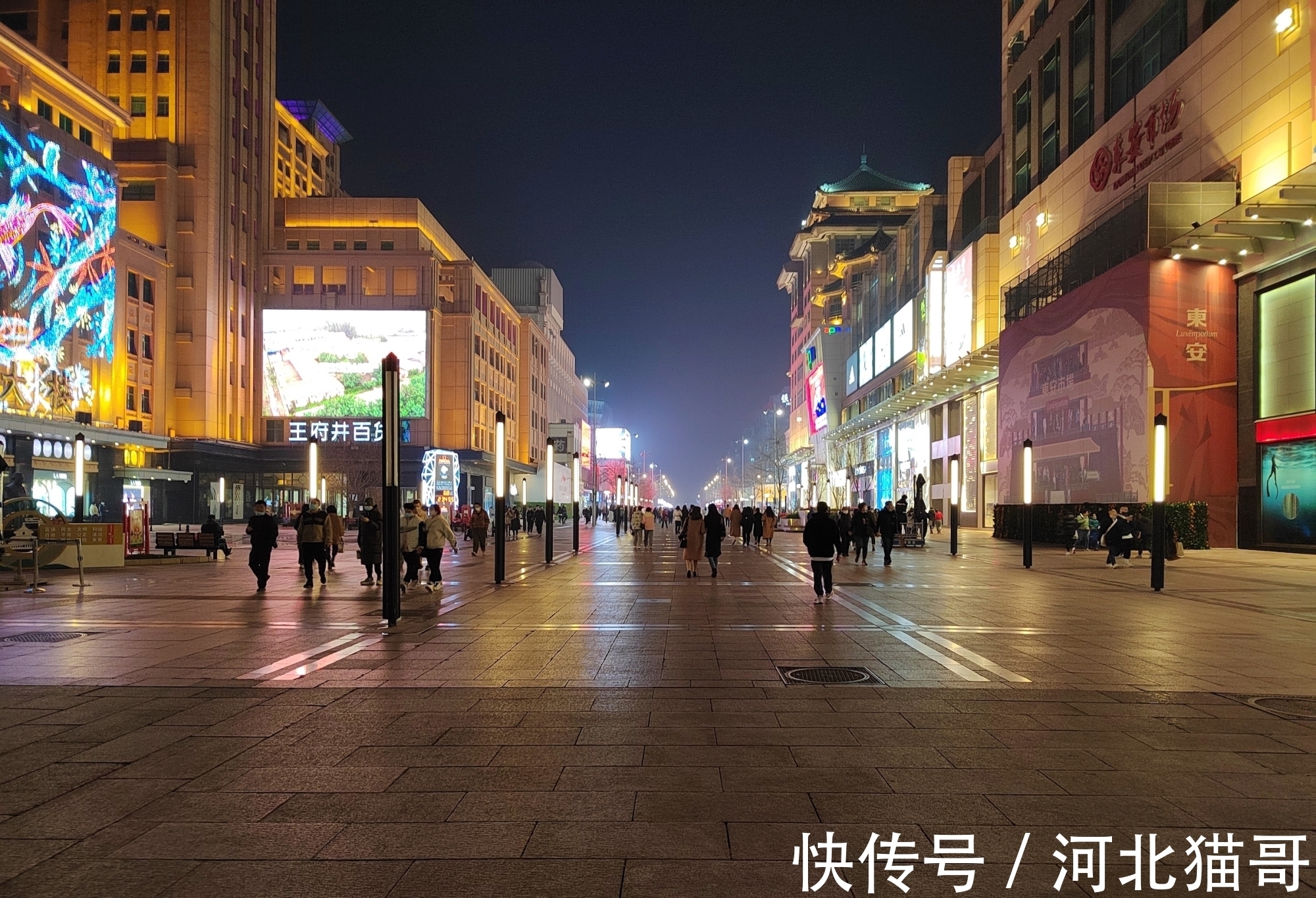 骁龙|荣耀60 Pro体验：新工艺注入，轻薄依旧精致不减丨钛极客