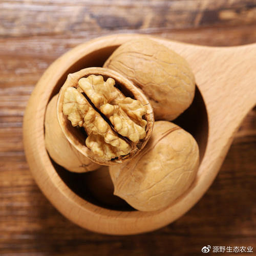 益智果|核桃有两面性，正确使用是养生佳品，错误使用或会诱发血管疾病