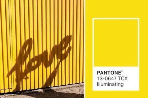 2021年的流行色来了，显白又高级，太美了！