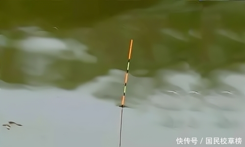 钓鱼大师:顿口是这么来的,下次知道该怎么调漂了吧