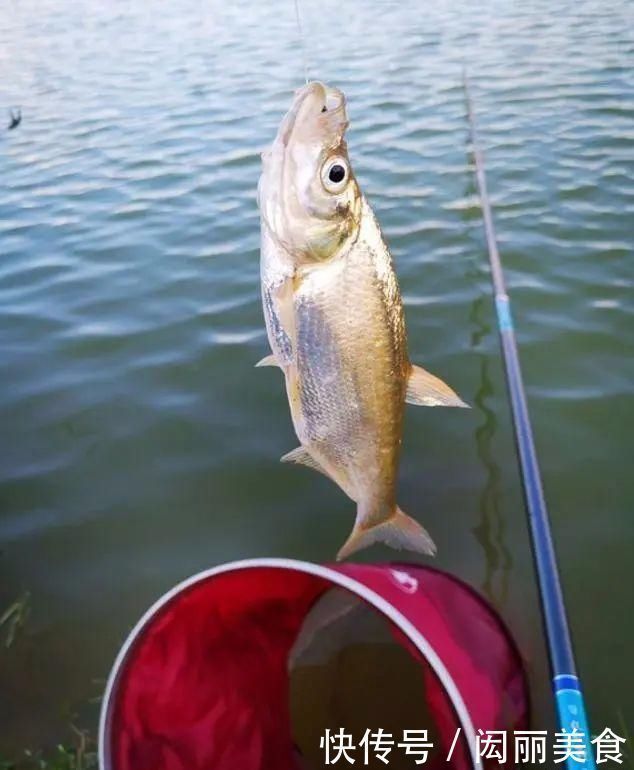 钓友|用小钩细线总是“缠子线”教你几招实用的,保证不打结不缠线