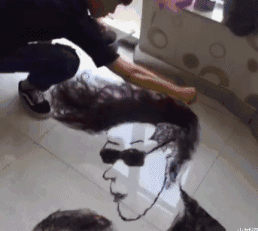 |搞笑GIF趣图放浪不羁的风中男子,我一般一拳能揍十个!