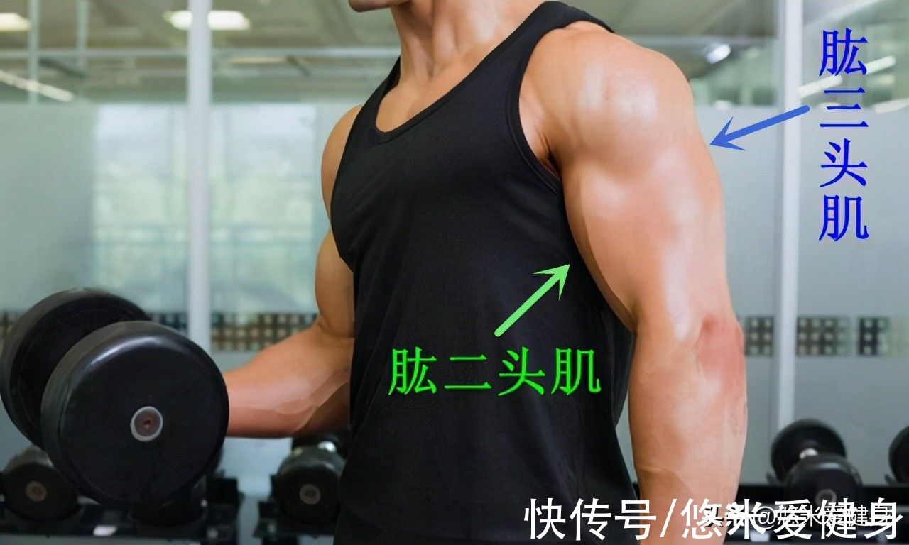 胸肌|如何增加手臂围度?高手常用的3种训练方法,帮你打造强壮麒麟臂