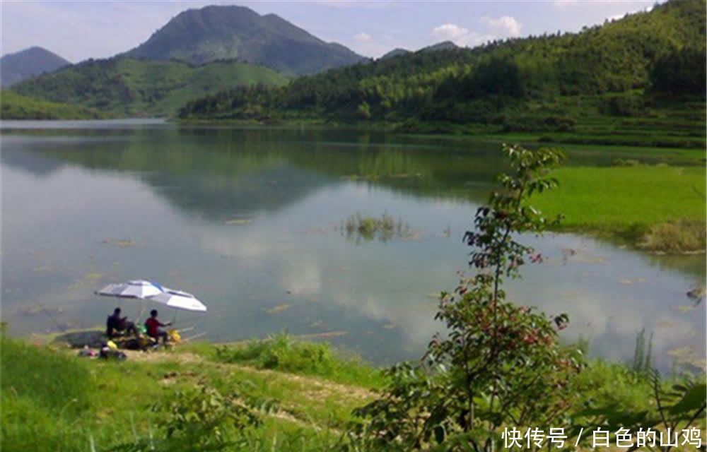 夏季|夏季钓草鱼，找这四种钓位，在这些位置下竿，大草鱼能连竿！