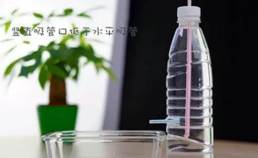 钻孔|软趴趴的塑料瓶,养花有4大经典用法,早晓得早受益
