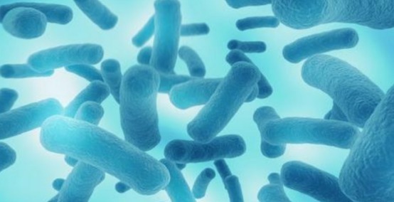 断食两天可以重新启动人体免疫系统,这是真实的