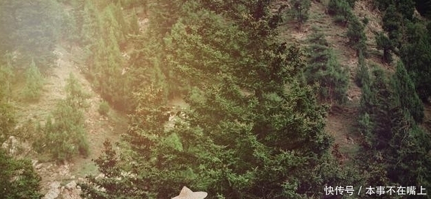 之亦无|“十步杀一人,千里不留行”,不过匹夫而已,不是真正的江湖