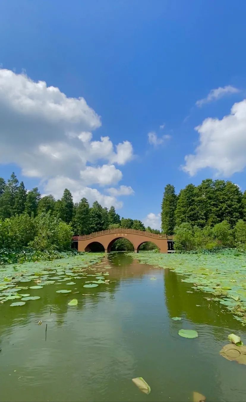 高邮|秋游集合啦，清水潭旅游度假区走起