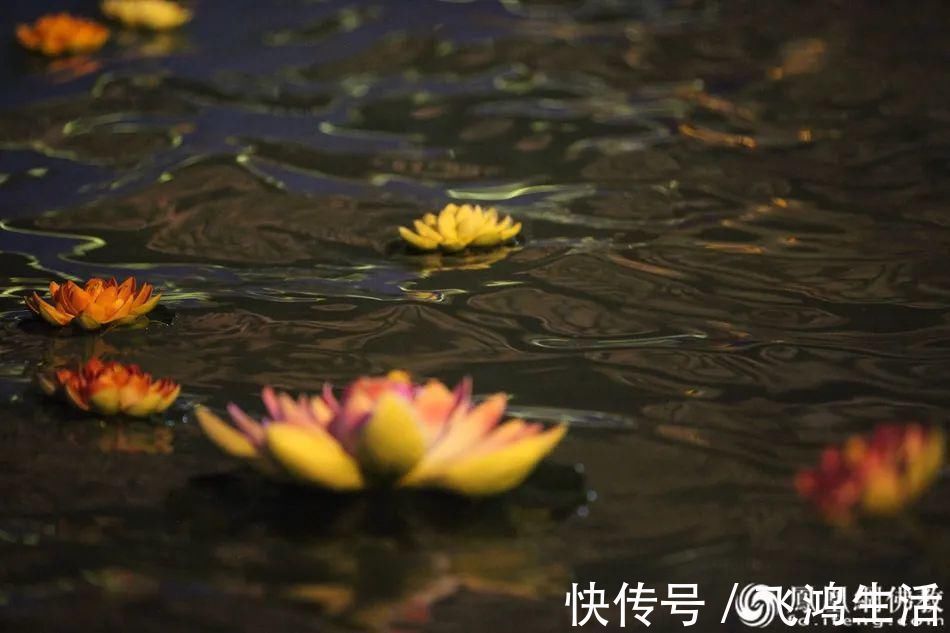 生命$静波法师:死亡来临前,我会做好这些准备