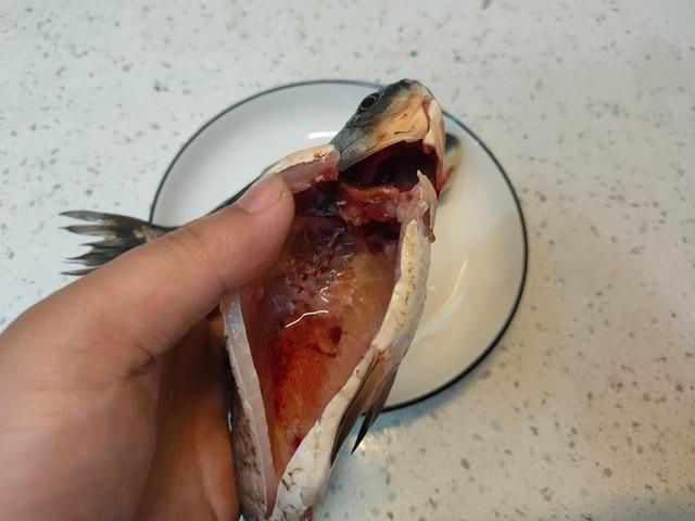 炖鲫鱼汤时，牢记“2不放2窍门”，汤浓如奶，鲜美好喝没腥味