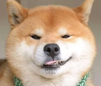 女主#千万别看这些智障小说!哈哈哈哈哈看完感觉智商受到侮辱哈哈哈哈哈哈