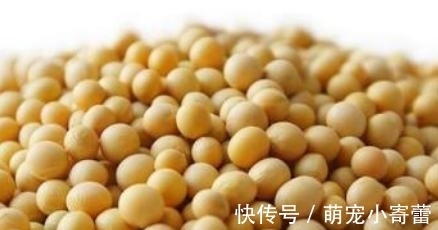 豆腐脑自制方法:不用石膏,口感嫩滑雪白漂亮,1斤黄豆全家管够