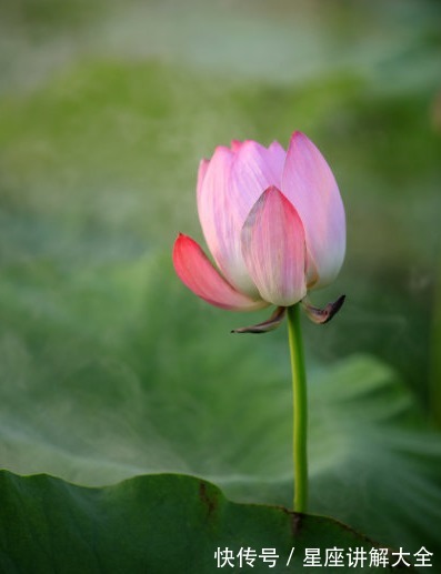 运势|步入10月，吉星照耀，4属相运势上涨，财源滚滚，幸福乘风破浪