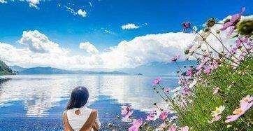 葱头|宠辱之间——争与不争