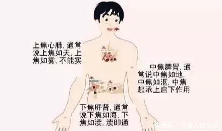 下焦|搞懂了人体的“三焦”,所有疑难杂症,都可迎刃而解,建议收藏!