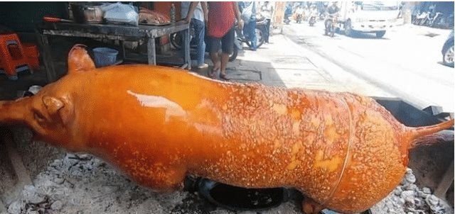当地传统|去越南旅游吃“烤乳猪”,没忍住1200元买了一整只,切开后这是烤猪