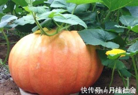 食物|糖尿病人除了少吃糖,还有2类食物劝你也少吃点,吃错了要升血糖