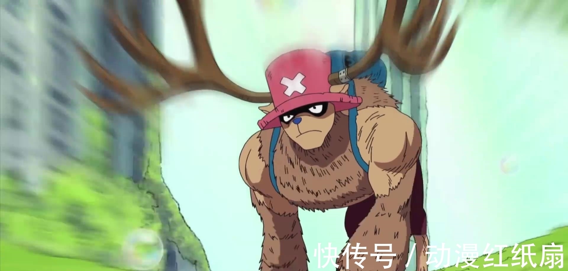 橡胶果实|海贼王,误食恶魔果实的4位大佬,结果各不相同,有人还成了皇