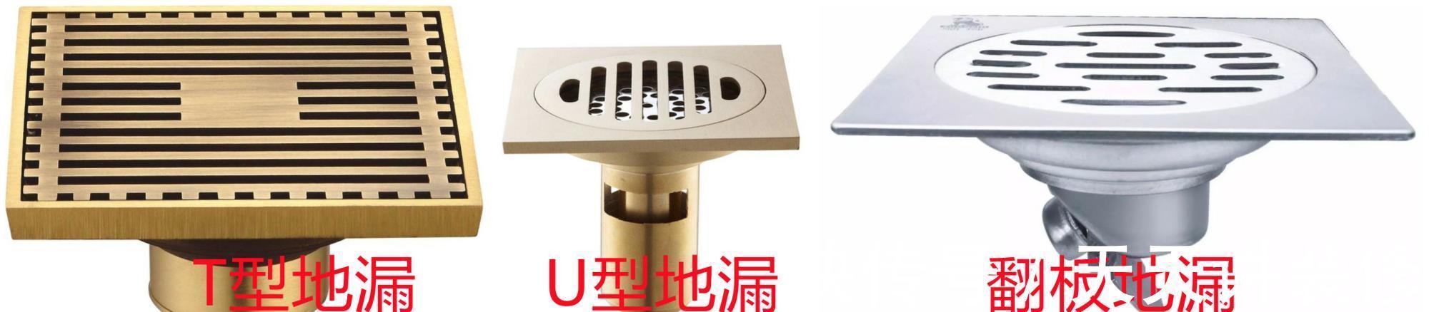 卫生间|卫生间里的小飞虫是什么?只需三步,就能彻底杜绝!