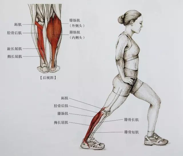 起跑式|居家运动，这套全方位小腿拉伸大法请收好