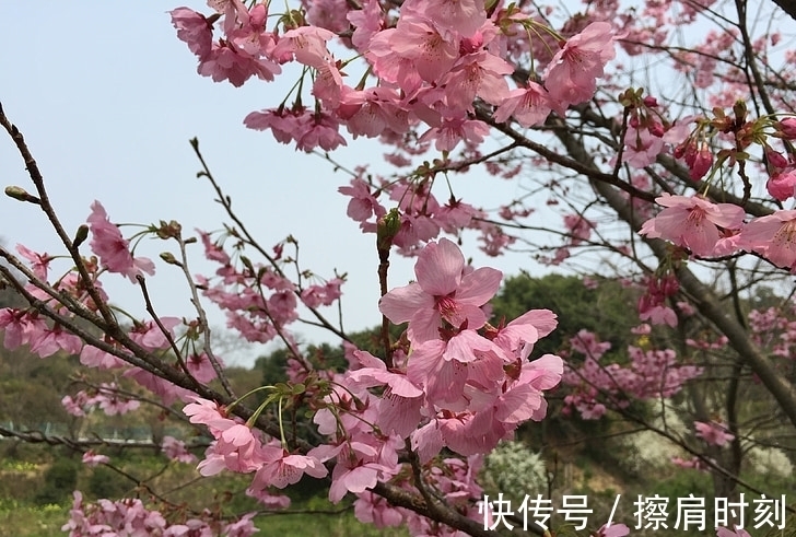 大运|1月中旬开始，财神大运，身边有贵人相助，事业开拓的生肖