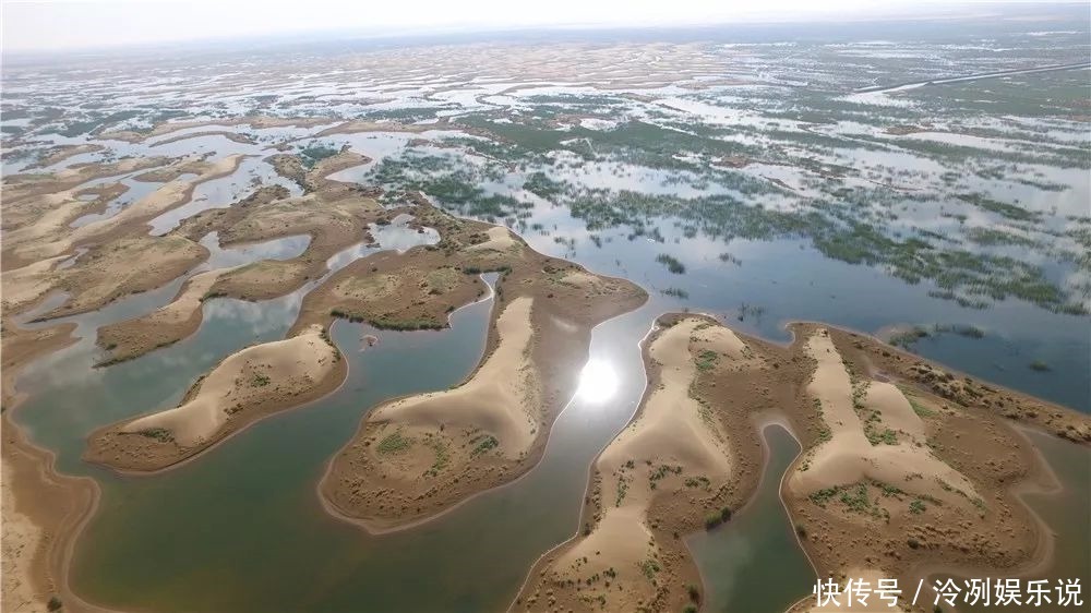 黄河水|内蒙古发生奇迹大片沙漠引入黄河水后，令人震惊的事情发生了
