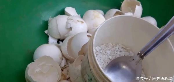  预警：家里养花，将这3样“废品”扔掉就是在扔钱