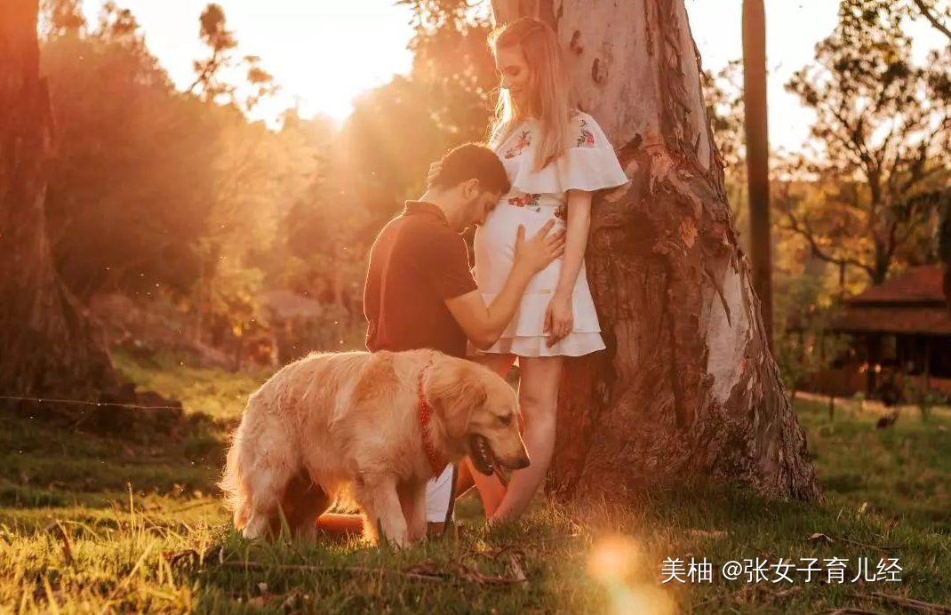 谁说五一出行孕妈只能干看着?避开这几个月,孕妈也可以快乐度假