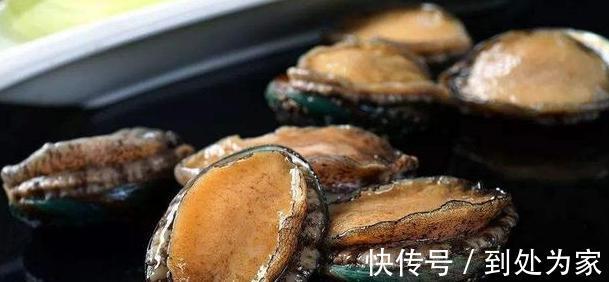 海產(chǎn)品|真正鮑魚(yú)中的幾頭鮑是什么樣的？