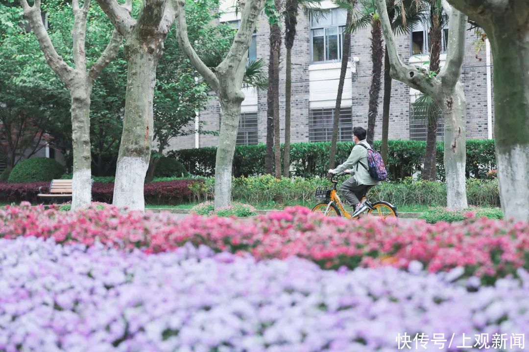 上海理工大学|这些校园里，藏着夏日最美的风景