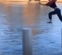 |搞笑GIF:一转身美美哒