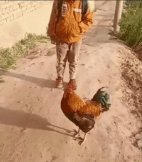 |搞笑GIF趣图:车头一翘,阎王发笑