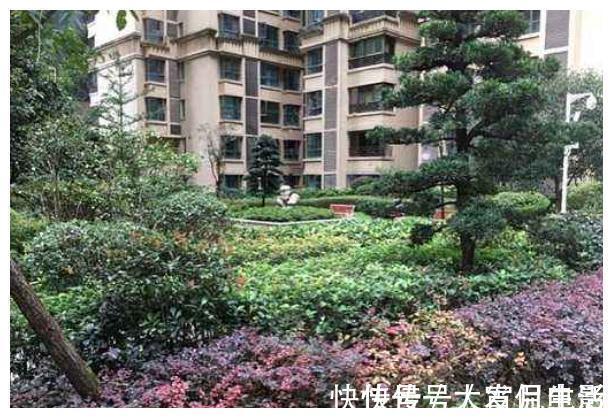 开发商|买房,选一期和二期有什么不同?内行人告诉你,这些区别太大了