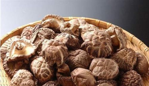 野香菇|“湿气不除百病生”，4种祛湿食材常吃点，祛湿排毒，无病一身轻