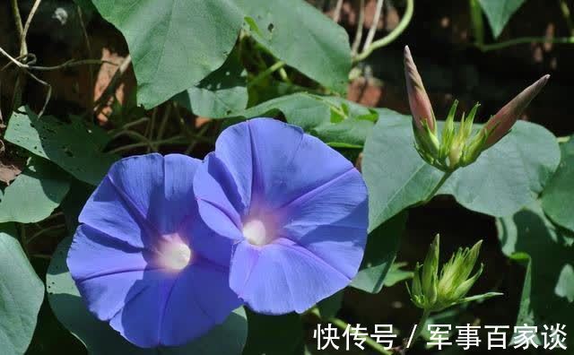 痴情|7天内,天赐良缘,唯有痴情,挽回旧爱,倾其所有,喜极相拥