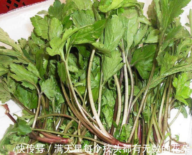 效用|这野菜不过3元1斤，炖汤喝比羊肉还滋补，孩子吃了能预防感冒