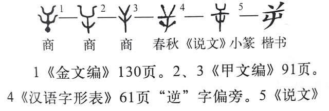  写错|《说文解字》第369课：“只”字的繁体，你很可能写错了