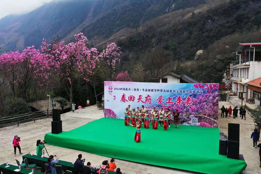 中年|春天里与辛夷花有约 四川北川辛夷花生态旅游节开幕