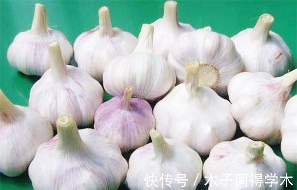 靠近|此菜被誉为“长寿菜”，50岁后常吃，排毒抗癌，长寿更靠近一步