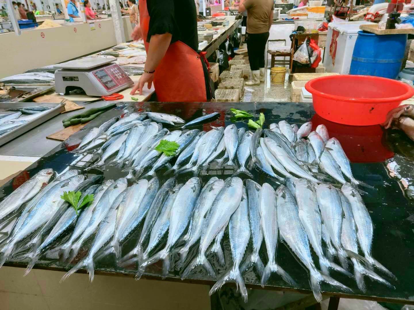 美味|冬天碰到这鱼,我从不还价,目前无法人工养殖,做酱香鱼最美味!