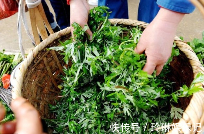 艾叶|“家有三年艾,郎中不用来”,艾叶浑身都是宝!但这类人不要碰