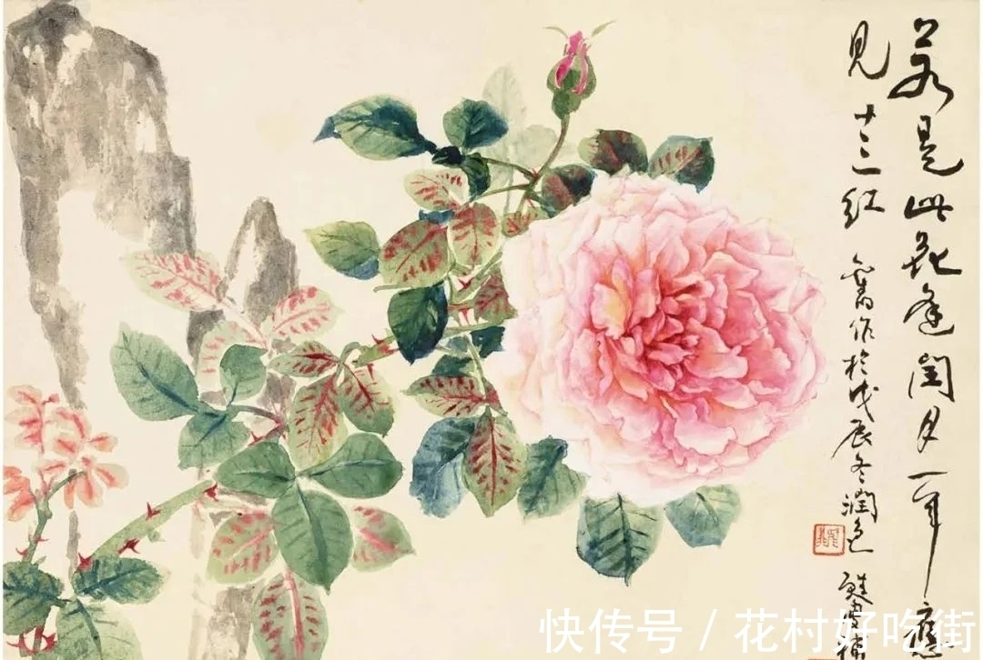 国画家$国画家｜陆抑非的月季花