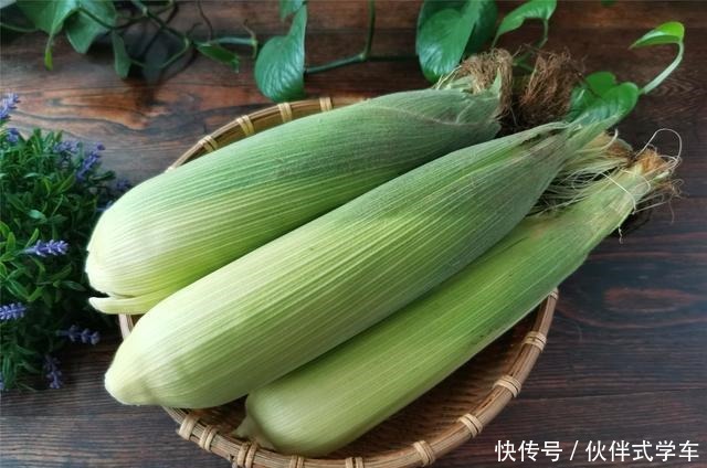 玉米煮多了吃不完怎样办教你这样保存,放一年不变质,新鲜如初!