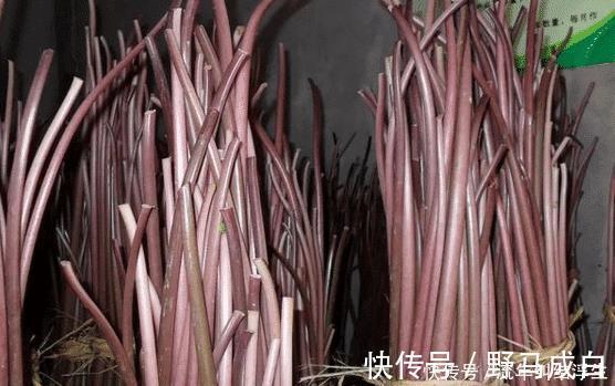 酸菜|原产自我国，曾是农民的救命粮，叶梗腌酸菜是一绝，不知道可惜了