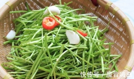 开胃|泥蒿虽不起眼，全身是宝，开胃健脾，降压补脑，增强免疫力，防癌